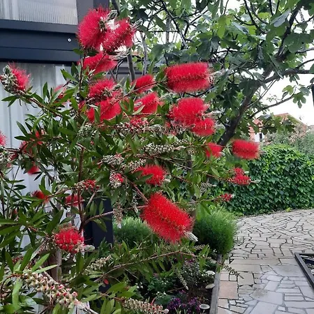 빌라 Neroli