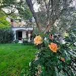 Neroli *